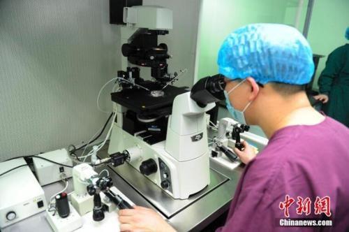 基因编辑的伦理边界与科学责任 从贺建奎事件看人体干细胞技术的焦点与未来