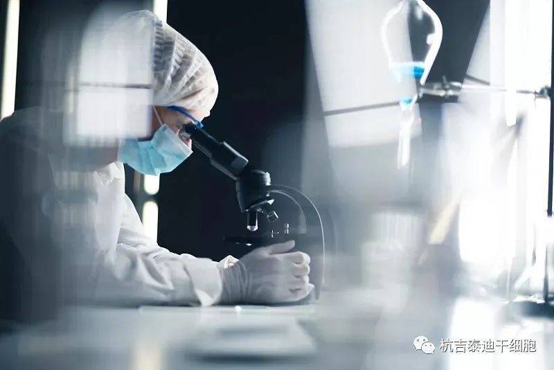 干细胞技术治疗渐冻症的潜在挑战 不良反应、费用与未来展望