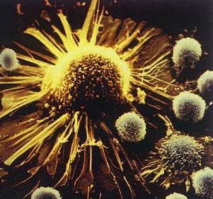 生命科技前沿的领航者 专注于人体干细胞技术开发与应用的企业简介