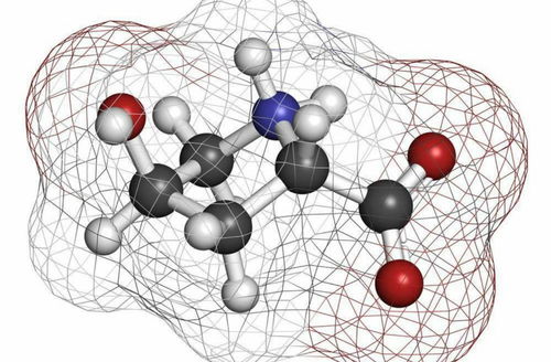 干细胞技术与人造器官 解锁生命科学新纪元