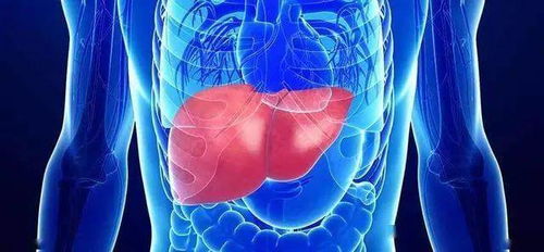 新品前瞻 | 人体干细胞技术 为人体“化工厂”肝脏，开启科学排毒新纪元
