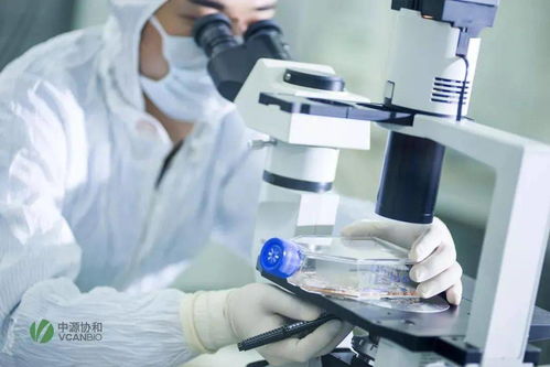 干细胞技术 重塑生命的钥匙与国家战略的焦点