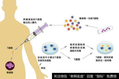免疫疗法新突破 CAR-T与干细胞技术催生投资新机遇