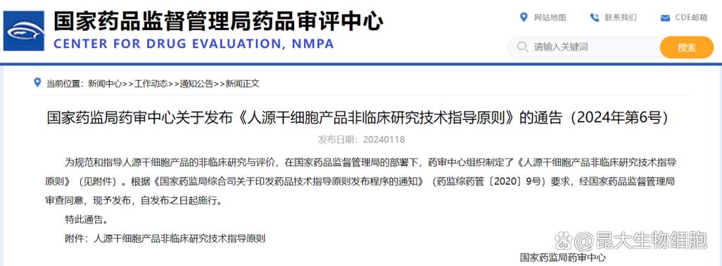 cde发布《人源干细胞产品非临床研究技术指导原则》