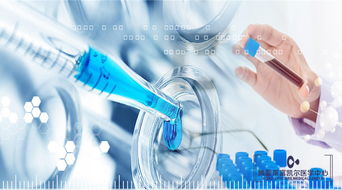 干细胞抗衰老的原理与人体干细胞技术的发展前景