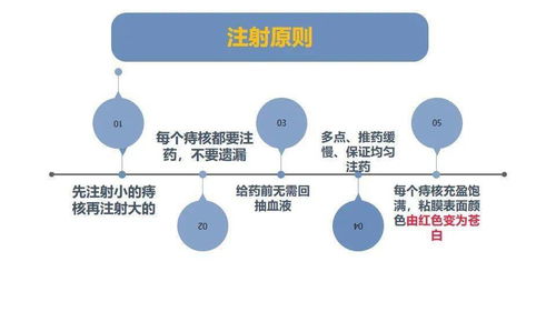 内痔微创硬化治疗技术与人体干细胞技术 临床应用与发展探索
